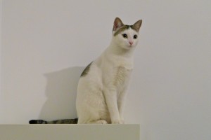 P1000009